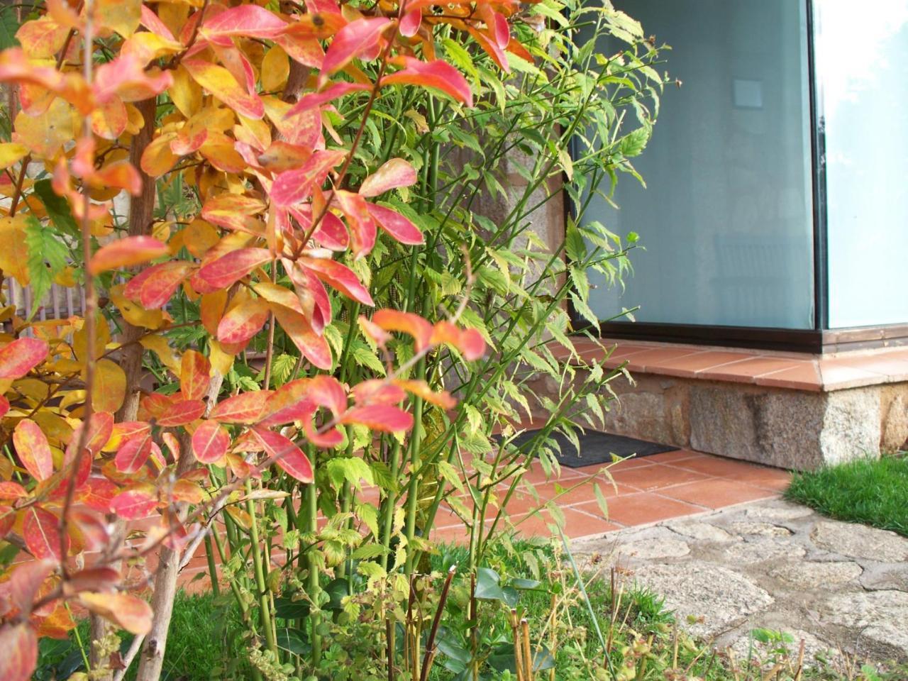 Apartamentos El Roble Valverde de la Vera Exterior photo